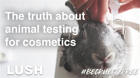 chanel makeup animal testing